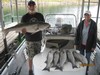 (10/05/2016) - Nice Striped Bass